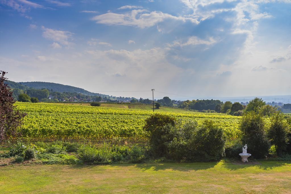 Krone Am Park - Gaestehaus Des Hotel Krone Alzenau in Unterfranken Exteriör bild